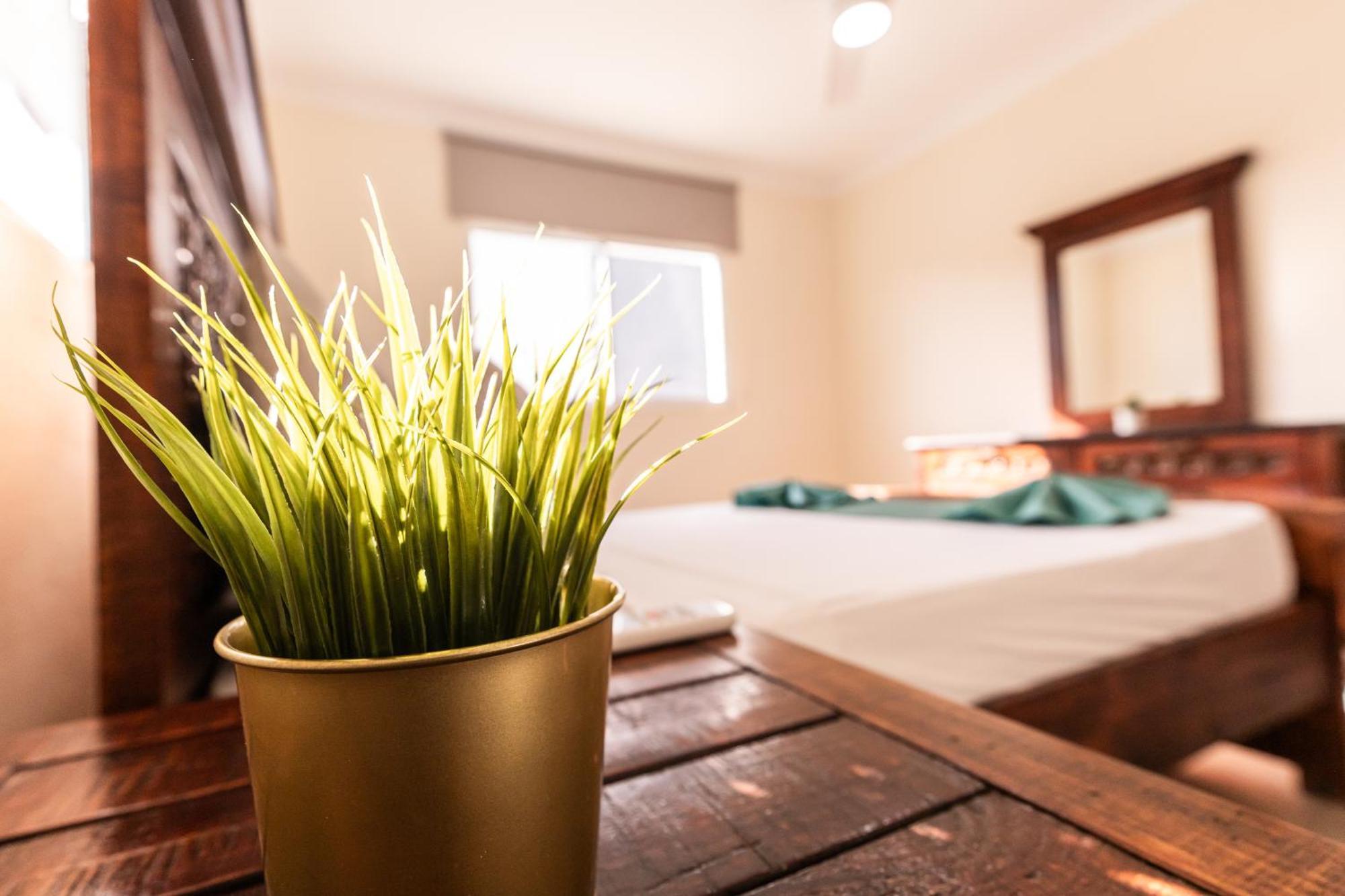 Hostal Las Rosas De Punta Cana Exteriér fotografie